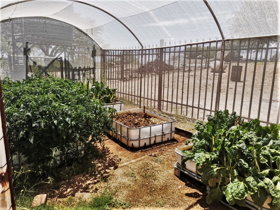 Commercial Property for Sale in Upington Rural Northern Cape